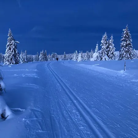 Mountain View With Sauna * Нордсетер